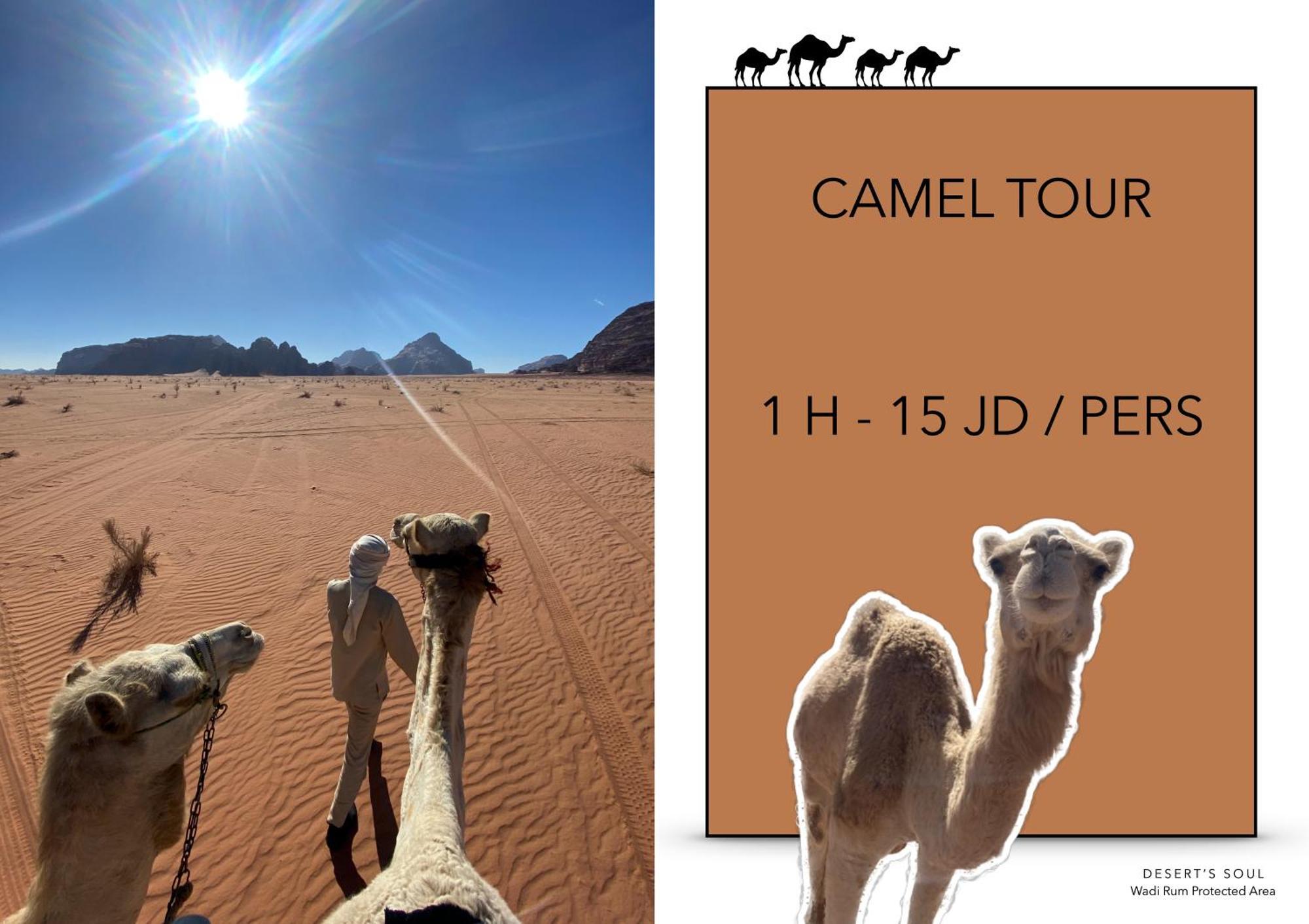 Desert'S Soul Wadi Rum Ad Disah Eksteriør bilde