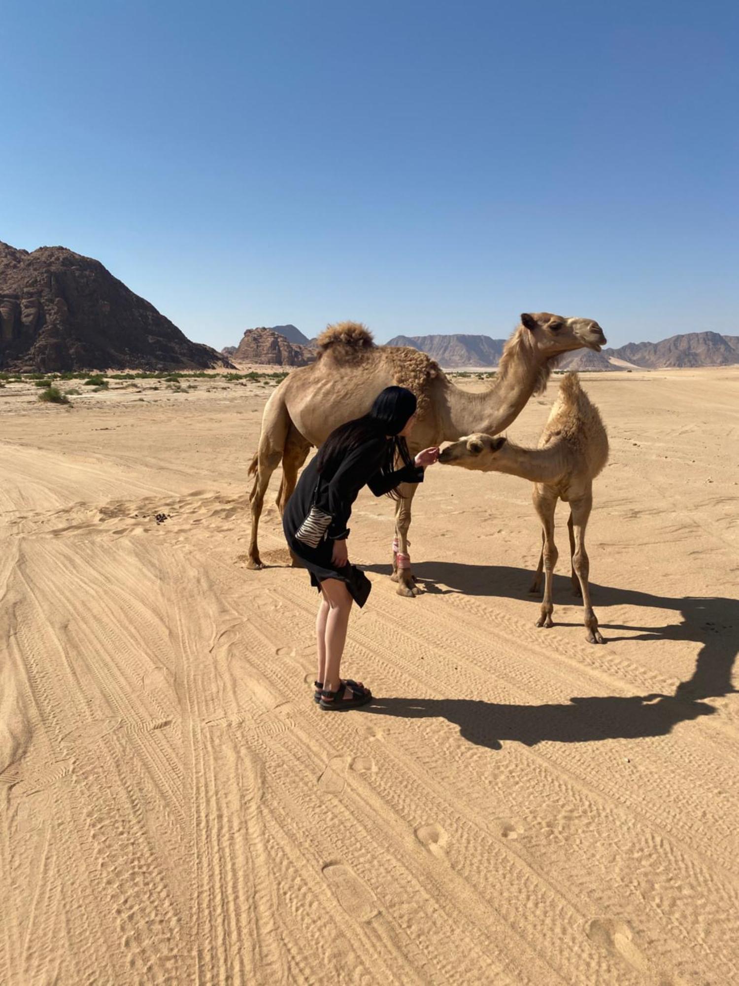 Desert'S Soul Wadi Rum Ad Disah Eksteriør bilde